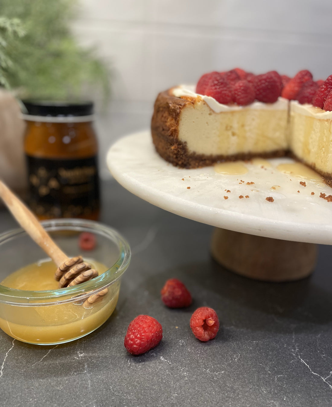 Honey Cheesecake